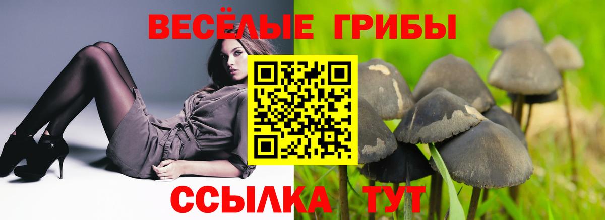 Галлюциногенные грибы Cubensis Пугачёв