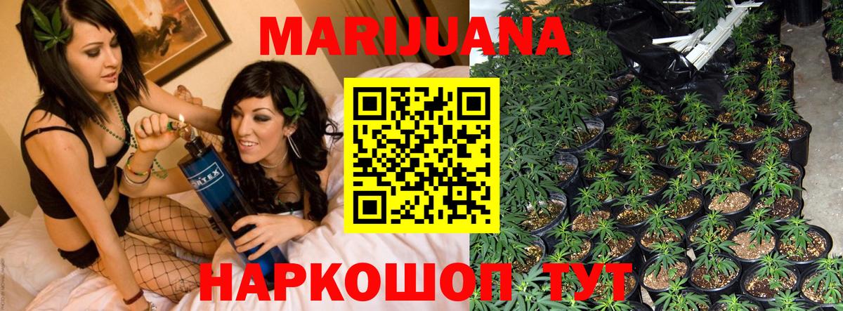 Бошки марихуана MAZAR Пугачёв